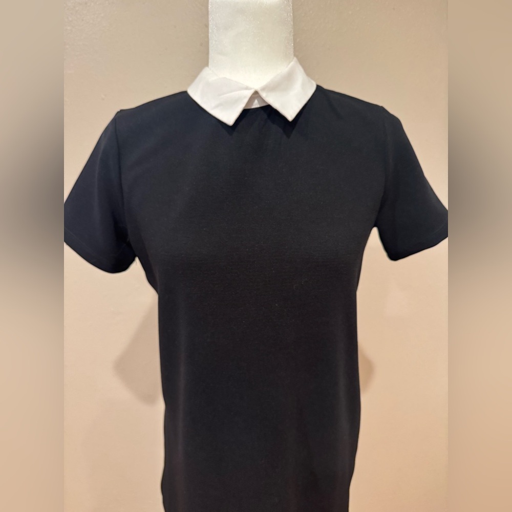 Zara Black Dress with White Collar - Picture 3 of 6